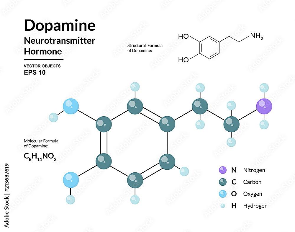 What Color Gives The Most Dopamine What Color Gives The Most Dopamine