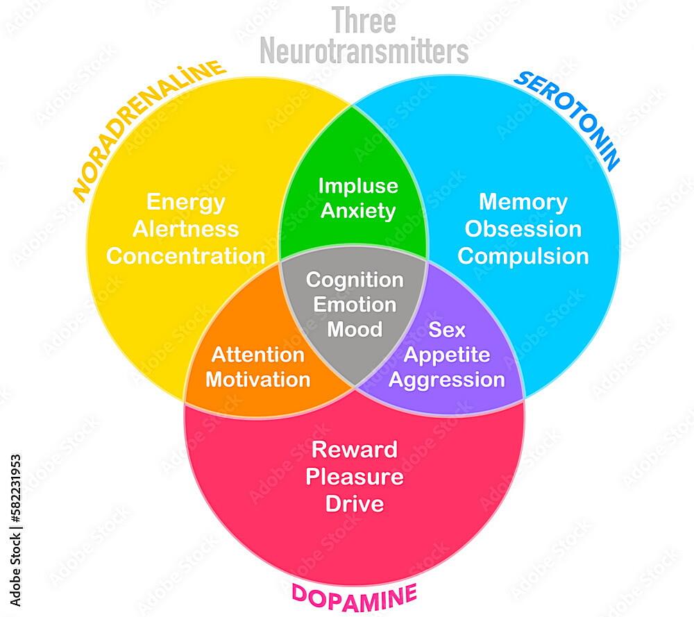 What Releases The Most Dopamine