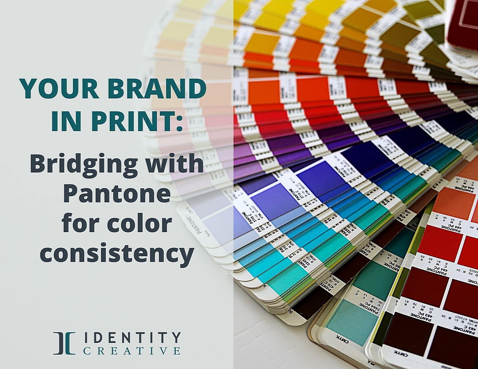 Do Graphic Designers Use Pantone Colors Do Graphic Designers Use Pantone Colors